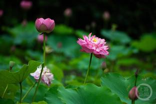 晴雨表！本赛季当贾勒特-阿伦篮板15+时骑士保持全胜 战绩8胜0负